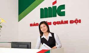 Thông tin liên hệ với MIC