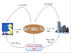 Chứng chỉ quỹ là gì?