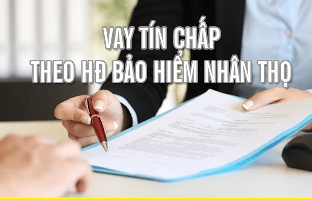 vay theo bảo hiểm